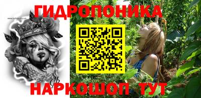 шишки Волжск
