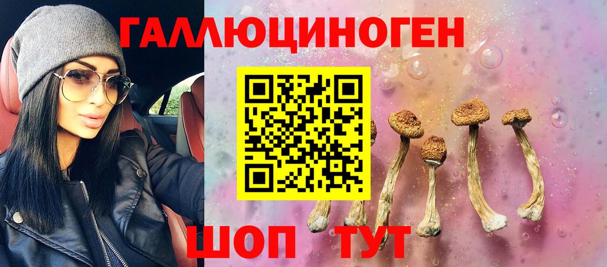Гусиноозёрск  Галлюциногенные грибы Cubensis  Псилоцибиновые грибы мицелий  купить наркотик  Вход с VPN 